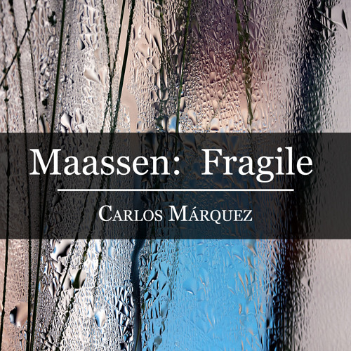 Dirk Maassen: Fragile