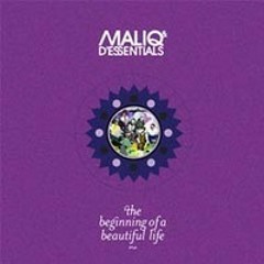 Beautiful Life