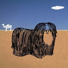 Amorf Lovagok & Honvéd Férfikar Szerenád Kommandó - Napséta