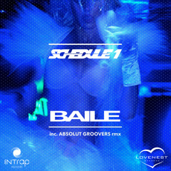 Schedule 1 - Baile (Absolut Groovers Remix)