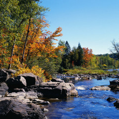 Vann Lilly - Different World