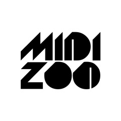 Midi Zoo live@Luzztro 05.05.2013