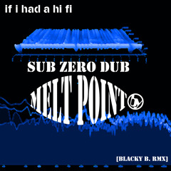 Sub Zero Dub [Melt Point] (Blacky B. remix)