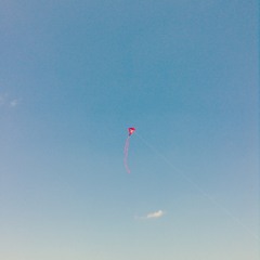 130323 slow n stupid