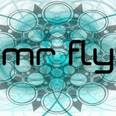 Mr.FLY Limited (Orginal Mix)