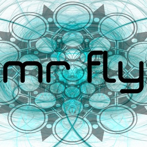 Mr.FLY Limited (Orginal Mix)