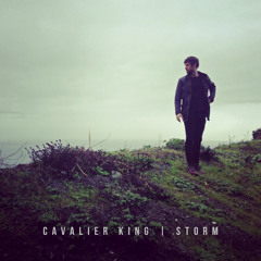 Cavalier King - Storm