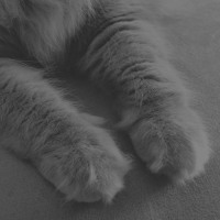 Cashmere Cat for Diplo & Friends BBCR1