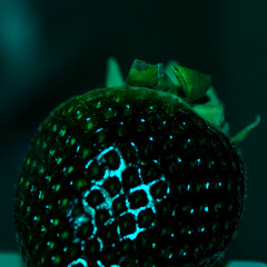 Damage Control (Rawrberry Remix)