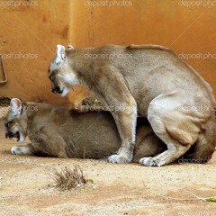 I got what you need (dirtymix) Free Download