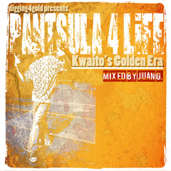 Pantsula 4 Life; Kwaito's Golden Era presented by Juan G (Digging4Gold)