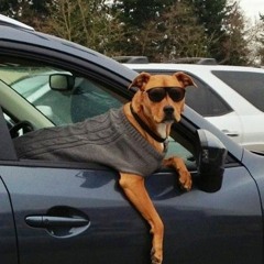 ROUND ONE ASSQUAKE SUMMER LIVE MIX