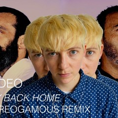 Rodeo - Way Back Home (Stereogamous Remix)