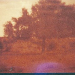 a shepherd tending to his flock at sunset