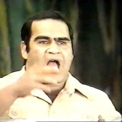 سيد زيان - الفهلوى