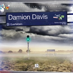 Damion Davis - Man über Board
