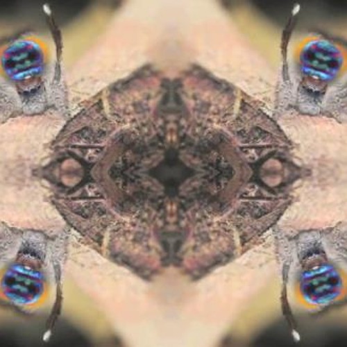 Trunkfunk Podcast 011