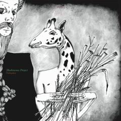 Mushrooms Project - ''UNDERGRASS'' Promo Leng LP 2013