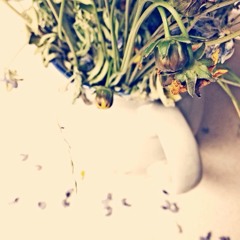 Love Song (whenever I'm Alone With You)