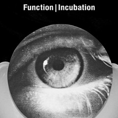 Function - Voiceprint (Reprise)