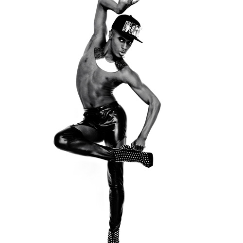 Jonte' - Feline Behavior