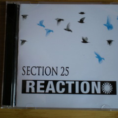 Section 25 - 'Babies in the Bardo' - Fan Club Leeds 17-7-80