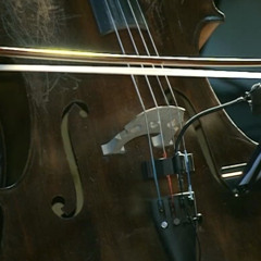 Antanas Jasenka_EURIDYCE_live in festival JAUNA MUZIKA /  2013