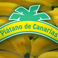 M.PADRON & TOCHA PRO - CONEXION V.1 (M.PADRUM'S BEAT)