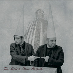 Teho Teardo & Blixa Bargeld - Axolotl