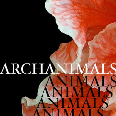 ArchAnimals - NeverGonnaMarryYou