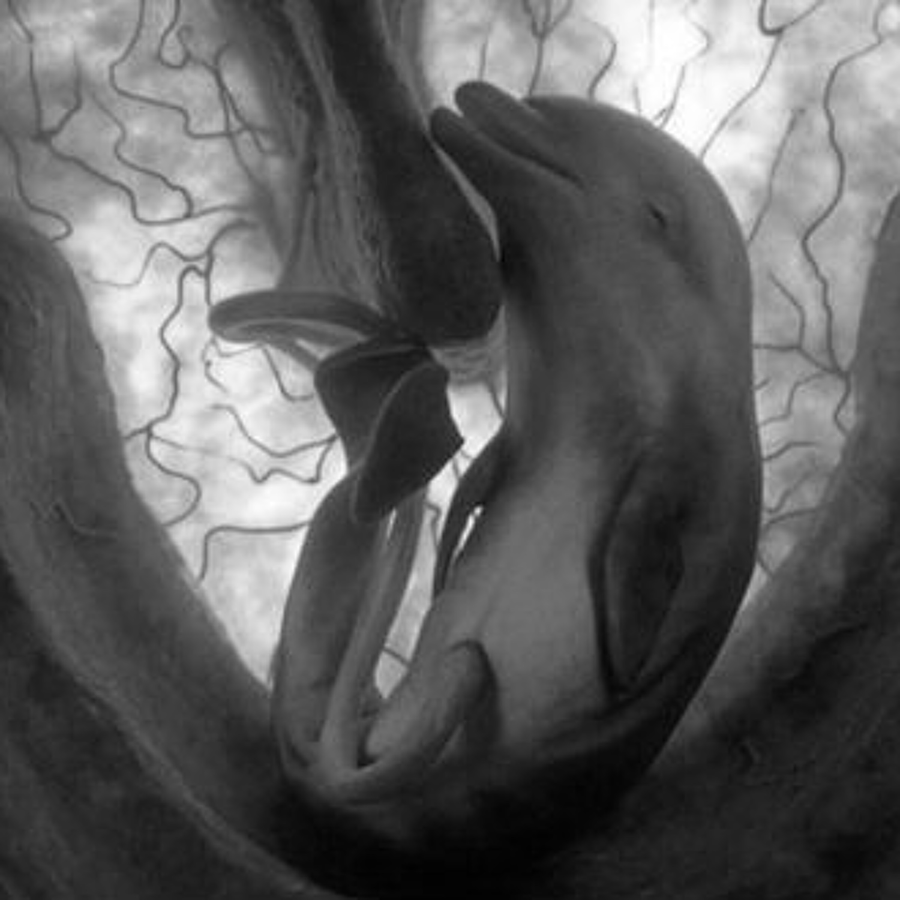 Pregnant episode artwork