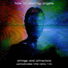 How To Destroy Angels - Strings and Attractors (EchoDroides Little Remix 1.0)