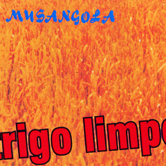 Conjunto Musangola – Trigo Limpio