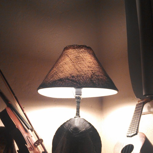 Stream Turtle Lamp- Two Weeks (Grizzly Bear Cover) by Homero Oliveira