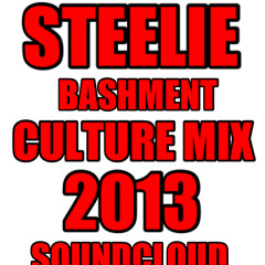 STEELIE CULTURE MIX 2013