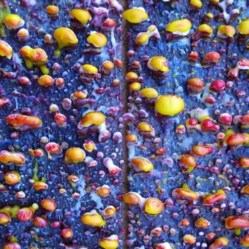 Pick a Piper - Cinders and Dust (Grown Folk Remix) (FREE DOWNLOAD)