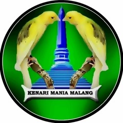 Suara burung kenari