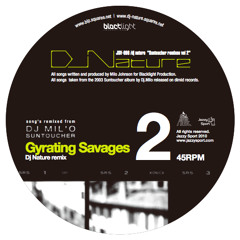 DJ Nature / Suntoucher Remixes vol.2