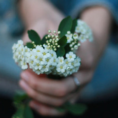 يايمه .. للمنشد ^ سلمان الملا