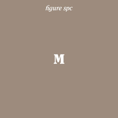 Markus Suckut - Section
