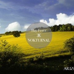 Nokturnal- Arizona (Original Mix)