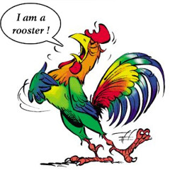 Fowko Coq la