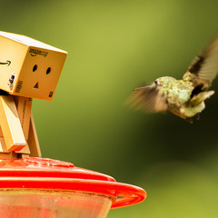 Humming Bird - Alex Clare (Birdy D-Remix)