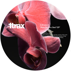 X-Press 2 - Crystal Clearings (Original mix)