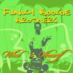 Funky Boogie Brothers - What Is Skeewiff