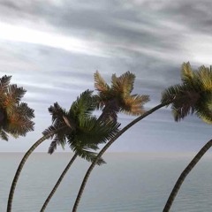 Caraiba! Sunset Part 2