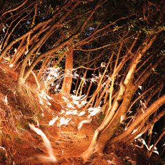 Benny Feiler - Vanille & Kamille (Original Mix)