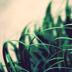 Swaying In Between Moments