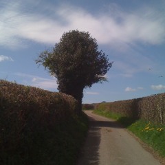 Landscape Music