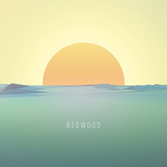 Redwood - A Place to Hide (Boogie Belgique Remix)